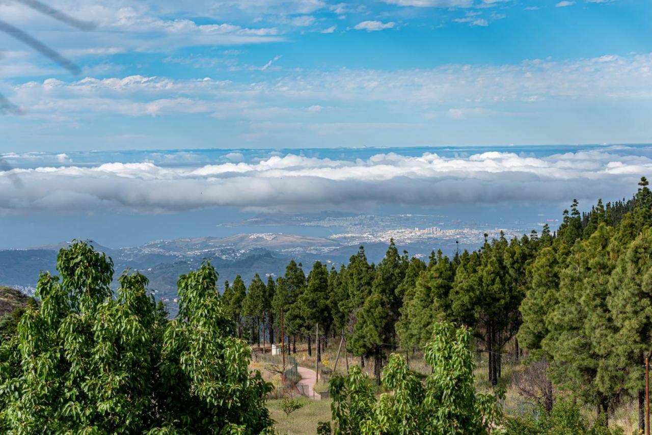 Roque Nublo Rural Houses I Vega de San Mateo Exterior photo